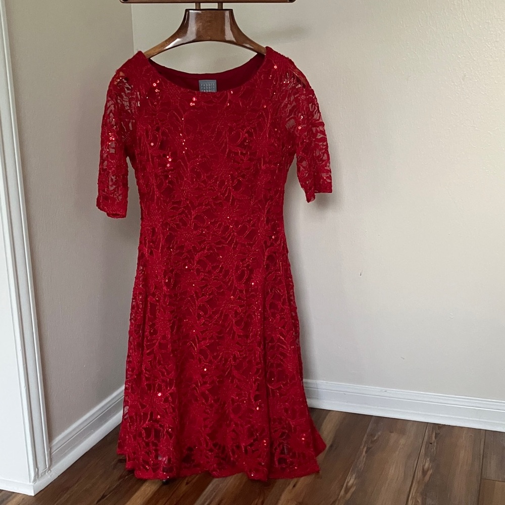 Rabbit Rabbit Rabbit Red Lace Mini Dress
